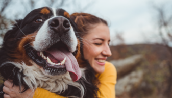 Pet Protect™ Hip & Joint+ Soft Chews for Dogs, With Vet-Formulated